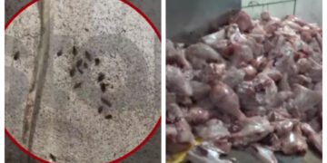 Εικόνες ντροπής: «Αποικίες» κατσαρίδων σε κρεοπωλεία της Αθήνας![video]