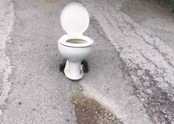 Alldaynews.gr Το “Τερμάτισαν”- Κάλυψαν λακούβα με μια λεκάνη τουαλέτας και το αποτέλεσμα σε πολύπαθο δρόμο γίνεται viral