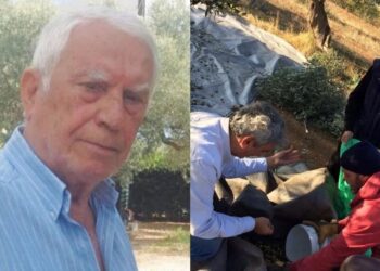 Παλικάρι στα 88 του ο Νίκος Ξανθόπουλος: Βγήκε στο χωράφι να μαζέψει ελιές & στέλνει μήνυμα σε όλους τους νέους