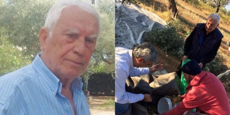 Alldaynews.gr Παλικάρι στα 88 του ο Νίκος Ξανθόπουλος: Βγήκε στο χωράφι να μαζέψει ελιές & στέλνει μήνυμα σε όλους τους νέους