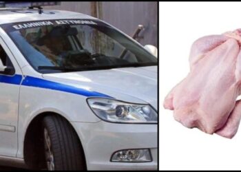 Πυργιώτης έτρωγε ωμό κοτόπουλο στην μέση του δρόμου: Αηδίασαν περαστικοί, έκαναν εμετό