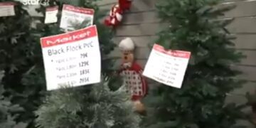 Alldaynews.gr Χριστούγεννα 2022: Γιατί εκτοξεύτηκαν οι τιμές των στολιδιών (video)