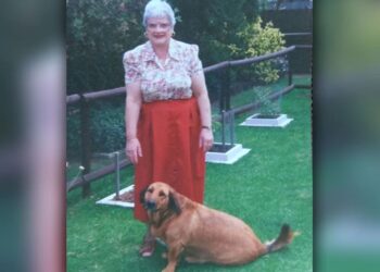 Κιβωτός του Κόσμου: Θρίλερ με την θεία από την Αυστραλία με το μισό εκατ. ευρώ που πήγε στη δομή