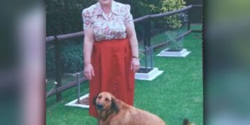 Alldaynews.gr Κιβωτός του Κόσμου: Θρίλερ με την θεία από την Αυστραλία με το μισό εκατ. ευρώ που πήγε στη δομή