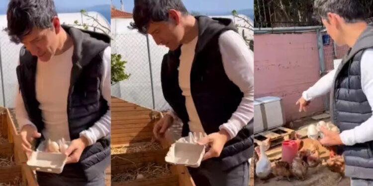 Και Αγρότης ο Σάκης Ρουβάς: Mαζεύει αβγά και δείχνει τη φάρμα που έχει στο σπίτι του