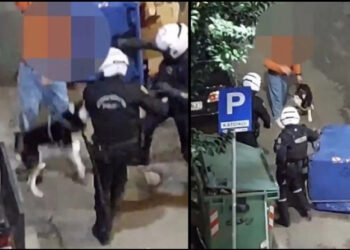 Αστυνομικοί πήγαν να συλλάβουν πολίτη και ο σκύλος του παραλίγο να τους «αρπάξει» (video)