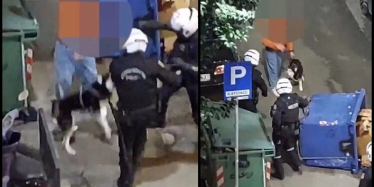 Αστυνομικοί πήγαν να συλλάβουν πολίτη και ο σκύλος του παραλίγο να τους «αρπάξει» (video)