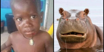 Alldaynews.gr Απίστευτο περιστατικό: Ιπποπόταμος κατάπιε 2χρονο αγόρι και το έφτυσε ζωντανό