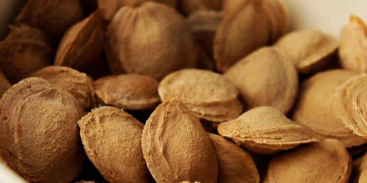 Alldaynews.gr ΕΦΕΤ