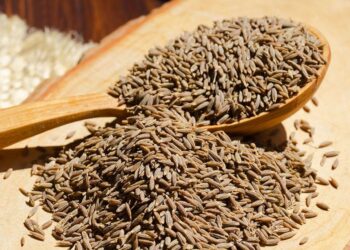 Με 3 γραμμάρια μόνο: Το θεραπευτικό μπαχαρικό που αδυνατίζει, ρίχνει τη χοληστερόλη και καταπολεμά το στρες