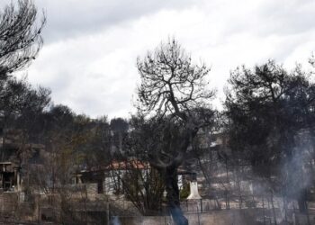 Alldaynews.gr Τραγωδία στο Μάτι: «Δεν μπορούσα να διανοηθώ ότι αυτό που νόμιζα καμένη κουρτίνα ήταν η μητέρα μου»