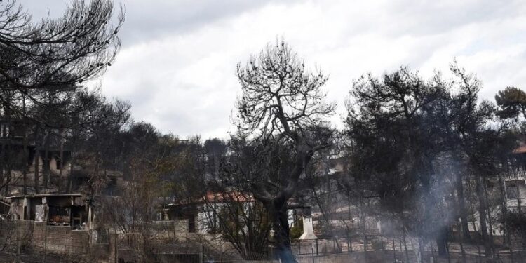 Alldaynews.gr Τραγωδία στο Μάτι: «Δεν μπορούσα να διανοηθώ ότι αυτό που νόμιζα καμένη κουρτίνα ήταν η μητέρα μου»