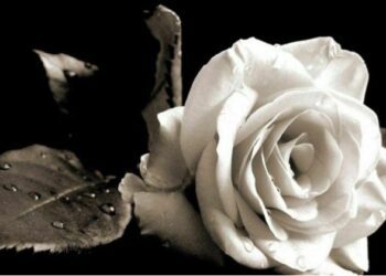 Τραγωδία στις Σέρρες: «Σήμερα στην πόλη μας σκοτείνιασε νωρίς… για τον χαμό του Βασίλη»