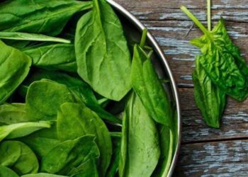 Συσκευασμένο σπανάκι προκαλεί παραισθήσεις και παραλήρημα , λόγω ψυχοδραστικού ζιζάνιου