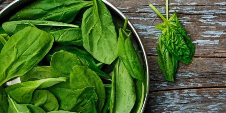 Συσκευασμένο σπανάκι προκαλεί παραισθήσεις και παραλήρημα , λόγω ψυχοδραστικού ζιζάνιου