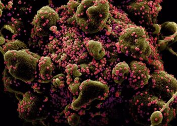 Κορονοϊός: Αυτή είναι η νέα «άκρως μεταδοτική» μετάλλαξη ΧΒΒ.1.5 – Προειδοποίηση ΠΟΥ