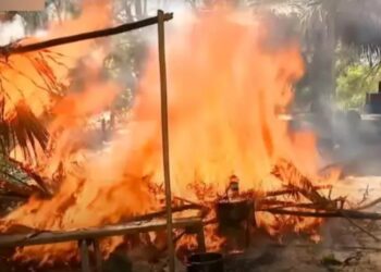 Survivor: Φωτιά στην καλύβα – Η Ασημίνα με κινητό-Φεύγουν οι παίκτες απ’ το συμβούλιο