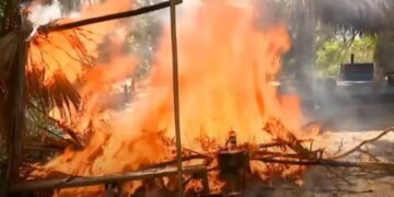 Alldaynews.gr Survivor: Φωτιά στην καλύβα – Η Ασημίνα με κινητό-Φεύγουν οι παίκτες απ’ το συμβούλιο