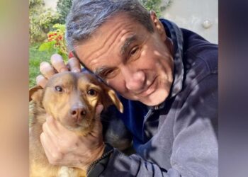 Λοβέρδος: Ψάχνει στέγη για το σκυλάκι που έσωσε από το δρόμο