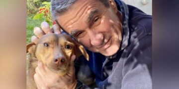 Λοβέρδος: Ψάχνει στέγη για το σκυλάκι που έσωσε από το δρόμο