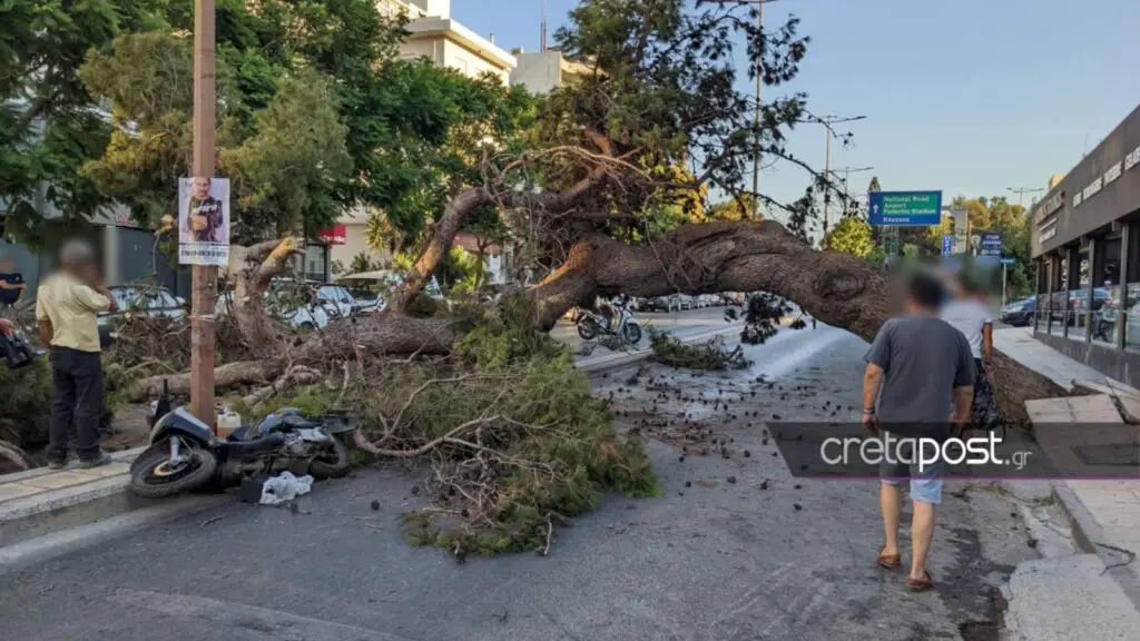 δέντρο