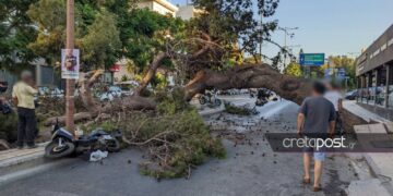 Κρήτη: “Του φώναζαν ότι πέφτει το δέντρο, αλλά δεν τους άκουγε λόγω κράνους” (video)