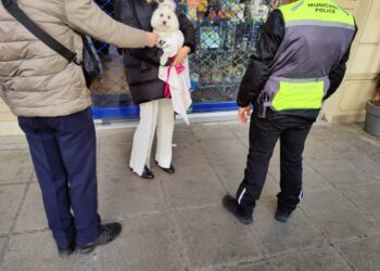 Θεσσαλονίκη: Βαριές «καμπάνες» σε ιδιοκτήτες ζώων για βόλτες χωρίς λουράκι