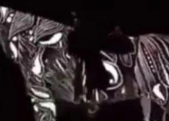 Το άλογο πάει μπροστά ή πίσω; Απάντησε και δες ποιο ημισφαίριο του εγκεφάλου σου επικρατεί