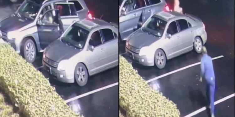 Alldaynews.gr Η συγκλονιστική στιγμή που άνδρας σώζει γυναίκα από απαγωγείς (video)