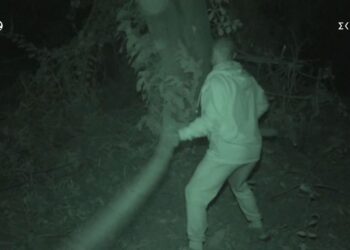 Survivor Καραγκούνιας