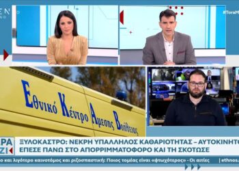 Alldaynews.gr Μεθυσμένος ο οδηγός που έπεσε στο απορριμματοφόρο και σκότωσε την υπάλληλο – Όταν το κατάλαβε έτρεχε πανικόβλητος