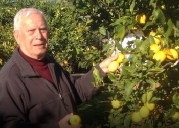 Κρίσιμες ώρες για τον Νίκο Ξανθόπουλο- «Είναι πολύ δύσκολα τα πράγματα»