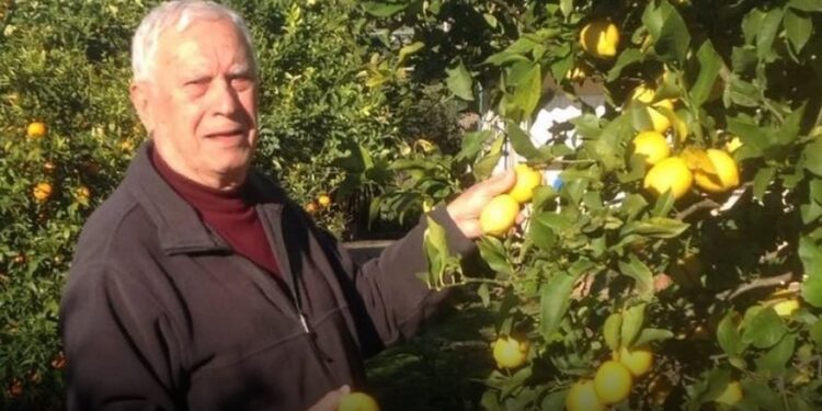 Alldaynews.gr Κρίσιμες ώρες για τον Νίκο Ξανθόπουλο- «Είναι πολύ δύσκολα τα πράγματα»