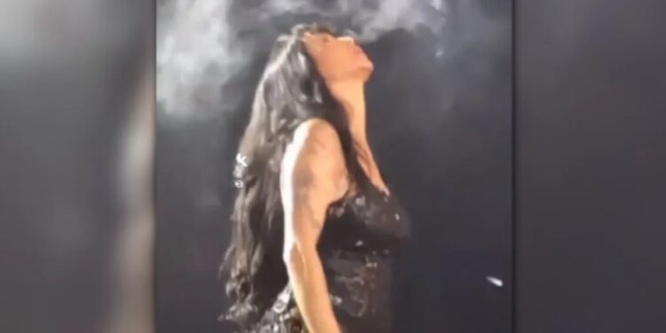 Πλεύρης: Θα εφαρμοστεί ο νόμος, απαντά για την Πάολα που κάπνιζε επί σκηνής