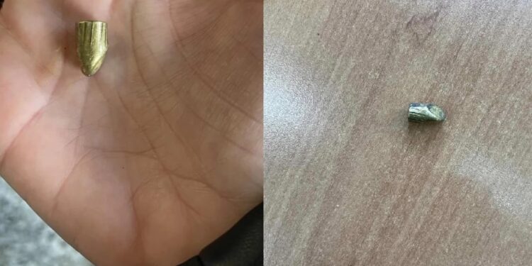 Alldaynews.gr Αττική: Εφιάλτης οι αδέσποτες σφαίρες στα σχολεία – Κραυγή αγωνίας από γονείς και εκπαιδευτικούς