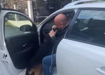 Alldaynews.gr Θεσσαλονίκη: Σκύλος ξαναβρίσκει το αφεντικό του 5 χρόνια μετά– Τον αναγνωρίζει και τρέχει στην αγκαλιά του (video)