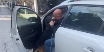 Alldaynews.gr Θεσσαλονίκη: Σκύλος ξαναβρίσκει το αφεντικό του 5 χρόνια μετά– Τον αναγνωρίζει και τρέχει στην αγκαλιά του (video)