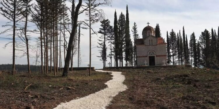 Alldaynews.gr Κηδεία τέως βασιλιά Κωνσταντίνου: Τι αποφασίστηκε για τα μέτρα ασφαλείας – «Αστακός» το Τατόι