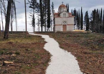 Alldaynews.gr Τατόι: Εικόνες από την μεταμόρφωση – εξπρές για την τελετή ταφής του τέως βασιλιά Κωνσταντίνου