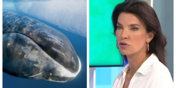 Μαρίνα Βερνίκου: Είδα μια τεράστια φάλαινα να πηγαίνει κατά πάνω στον γιο μου