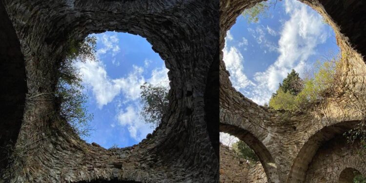 Alldaynews.gr Εικόνες “Ιντιάνα Τζόουνς” στη Λάρισα: Αποκαλύφθηκε εκκλησία σκεπασμένη από πυκνή βλάστηση μέσα σε δάσος (φωτο)