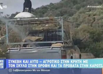 Το φλερτ στην εποχή της τεχνητής νοημοσύνης: «Το Chatbot προσπάθησε να διαλύσει το γάμο μου»