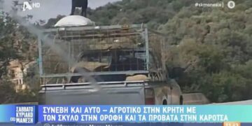 Alldaynews.gr Το φλερτ στην εποχή της τεχνητής νοημοσύνης: «Το Chatbot προσπάθησε να διαλύσει το γάμο μου»