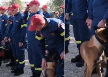Ήρωας σκύλος της ΕΜΑΚ τρομοκρατήθηκε μόλις τον πλησίασε ο Μητσοτάκης (video)