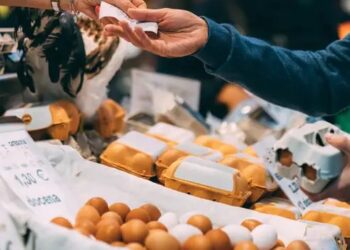 Οι Αμερικάνοι αγοράζουν μαζικά κότες επειδή τα αυγά στα σούπερ μαρκετ είναι πανάκριβα