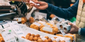 Alldaynews.gr Οι Αμερικάνοι αγοράζουν μαζικά κότες επειδή τα αυγά στα σούπερ μαρκετ είναι πανάκριβα