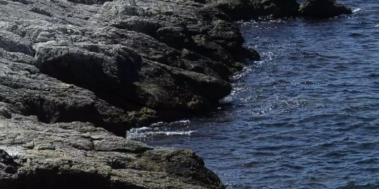 Alldaynews.gr Θρίλερ στο Μάτι: Νεκρή η γυναίκα που έπεσε από βράχια-Την είδαν να περπατάει και Ξαφνικά…