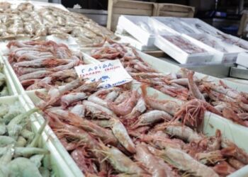 Καθαρά Δευτέρα: Πώς θα λειτουργήσουν τα μαγαζιά, κλειστά τα σούπερ μάρκετ