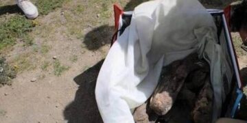 Έπαθαν ΣΟΚ όσοι το είδαν! Μεθυσμένος ντελιβεράς μετέφερε μούμια για να τη δείξει σε φίλους του