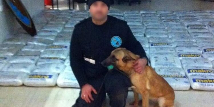 Έφυγε από τη ζωή το σκυλί “θρύλος” του λιμεναρχείου Ηγουμενίτσας